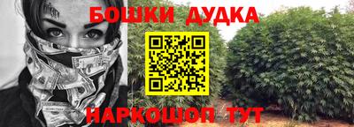 молекула духа Краснодар