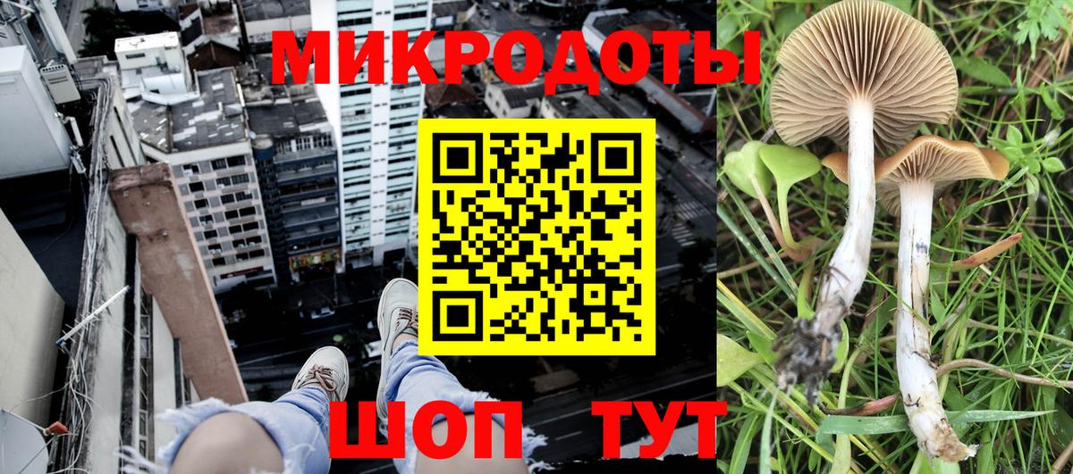 Галлюциногенные грибы Magic Shrooms Кандалакша