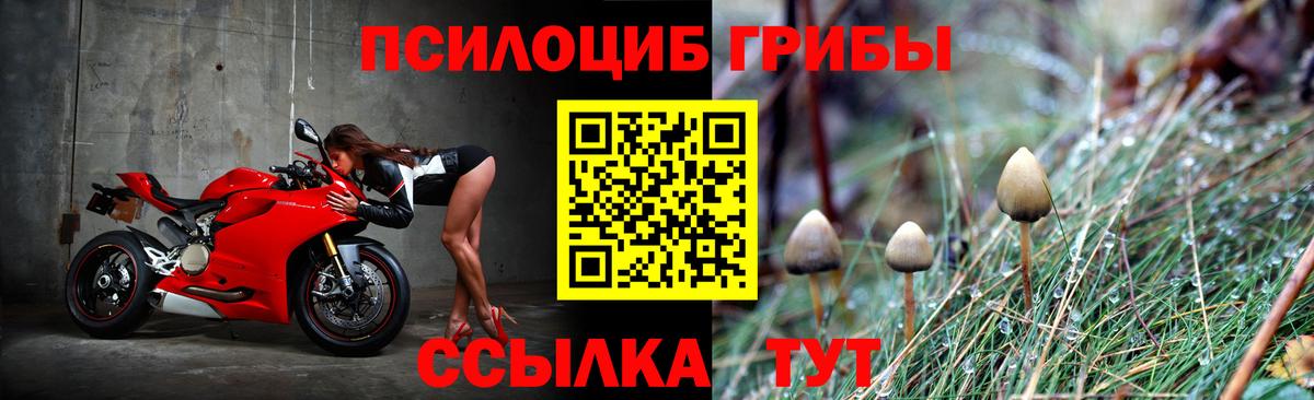 как найти закладки  Псилоцибиновые грибы прущие грибы  Вход с VPN  Галлюциногенные грибы мицелий  Кандалакша 